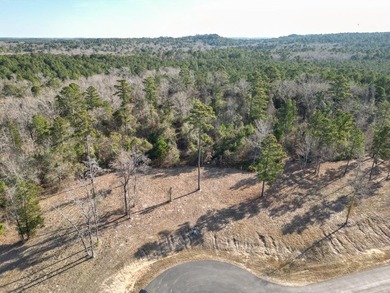 Looking for the perfect spot to build your East Texas retreat? - photo 6