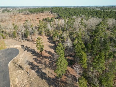 Looking for the perfect spot to build your East Texas retreat? - photo 7
