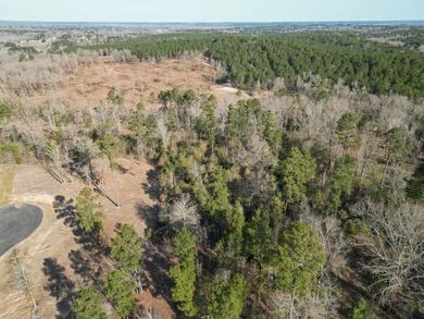 Looking for the perfect spot to build your East Texas retreat? - photo 8