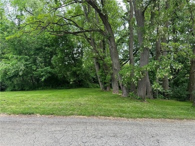 Susquehanna River - Clinton County Lot For Sale in Atlasburg Pennsylvania