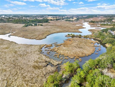 Marsh Front Lots on the Little Ogeechee River and Tidal-Fed Pond - photo 14