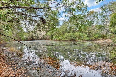 Marsh Front Lots on the Little Ogeechee River and Tidal-Fed Pond - photo 17