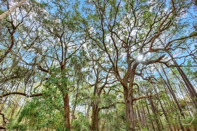 Marsh Front Lots on the Little Ogeechee River and Tidal-Fed Pond - photo 22