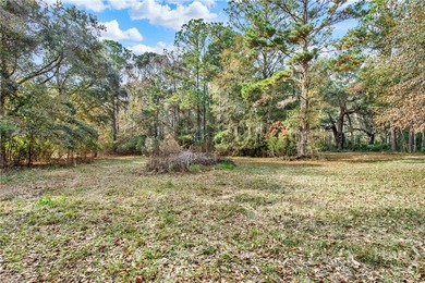 Marsh Front Lots on the Little Ogeechee River and Tidal-Fed Pond - photo 25