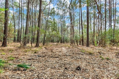 Marsh Front Lots on the Little Ogeechee River and Tidal-Fed Pond - photo 27