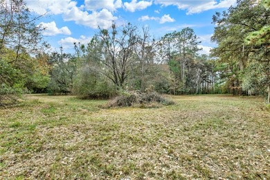 Marsh Front Lots on the Little Ogeechee River and Tidal-Fed Pond - photo 30