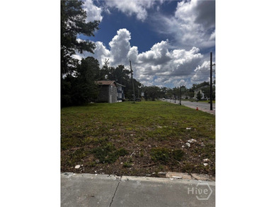 Exceptional development opportunity in Savannah's rapidly - photo 2