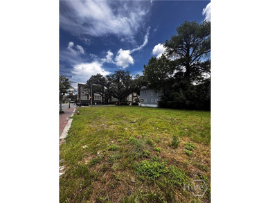 Exceptional development opportunity in Savannah's rapidly - photo 3