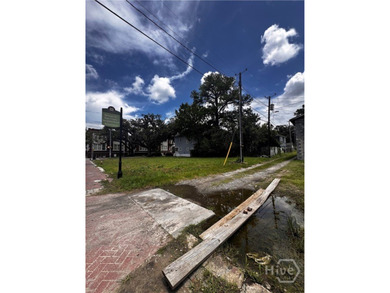 Exceptional development opportunity in Savannah's rapidly - photo 4