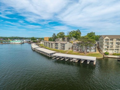 Amazing views of beautiful Lake Hamilton and mountains from this - photo 46