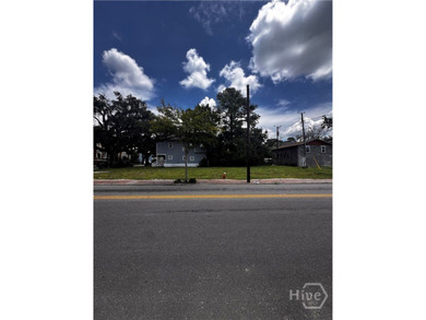 Exceptional development opportunity in Savannah's rapidly - photo 7