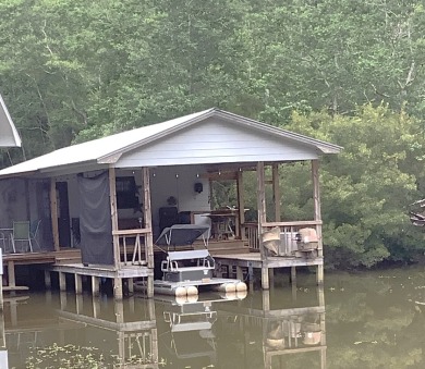 WEEKEND GETAWAY! - Lake Home For Sale in Pachuta, Mississippi