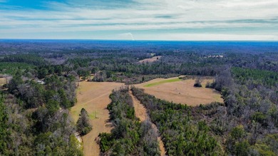 (private lake, pond, coastal) Acreage For Sale in Valley Grande Alabama