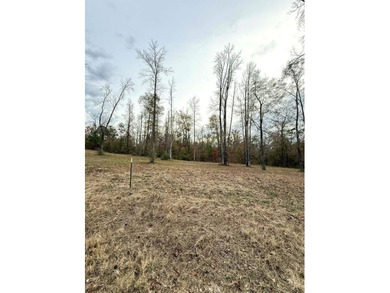 Create your ideal home on a 1+ acre homesite located within the - photo 2