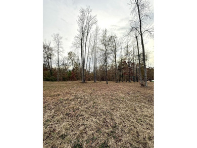 Create your ideal home on a 1+ acre homesite located within the - photo 3