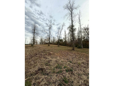 Create your ideal home on a 1+ acre homesite located within the - photo 4