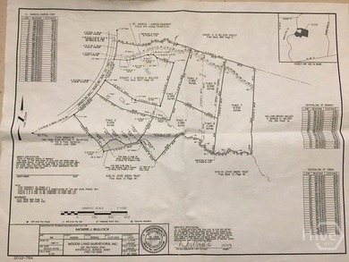 Do not miss this rare opportunity to own 5.0 +/- private acres - photo 5