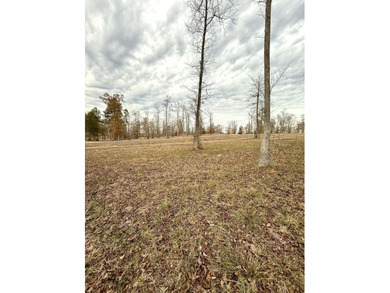 Create your ideal home on a 1+ acre homesite located within the - photo 5