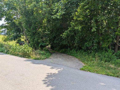 Beautiful wooded lot with rolling hills and year-round spring on - photo 1