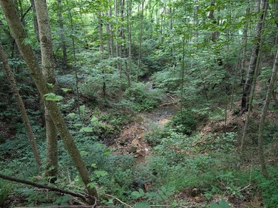 Beautiful wooded lot with rolling hills and year-round spring on - photo 2