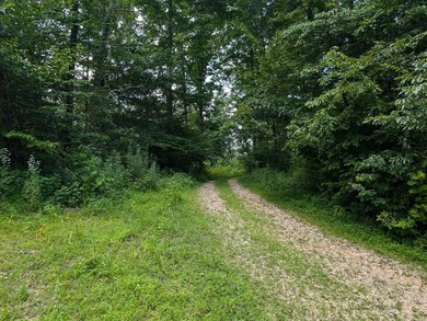 Beautiful wooded lot with rolling hills and year-round spring on - photo 3