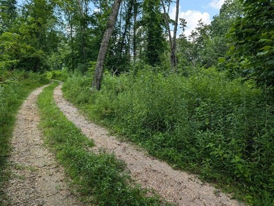 Beautiful wooded lot with rolling hills and year-round spring on - photo 4