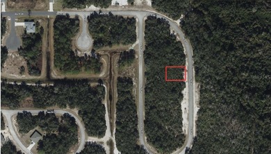 Lake Marion - Polk County Lot For Sale in Poinciana Florida
