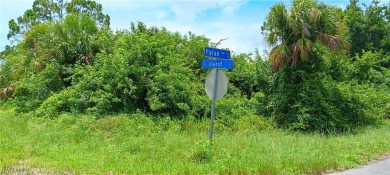 Lehigh Acres Area Lot For Sale in Lehigh Acres Florida