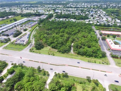 10 +/- Acres of General Commercial on State Road 60 (20th) - photo 12
