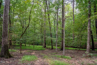 Build your dream home in the most beautiful place in Durham - photo 12