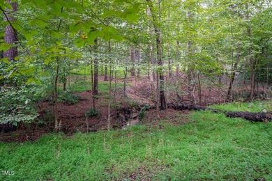 Build your dream home in the most beautiful place in Durham - photo 16