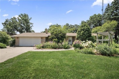 Lake Home For Sale in Howard Lake, Minnesota