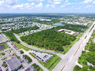 10 +/- Acres of General Commercial on State Road 60 (20th) - photo 24