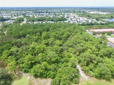 10 +/- Acres of General Commercial on State Road 60 (20th) - photo 27