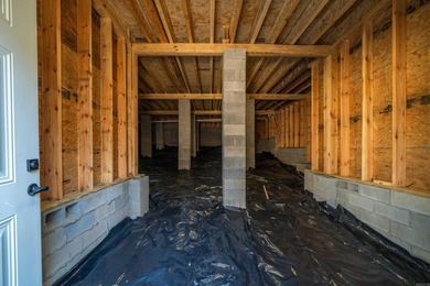 This 4 bedroom/ 2 bathroom new construction home in Diamondhead - photo 45