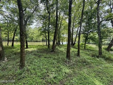 20 Acres at Shoal Creek and Spring River confluence - photo 3