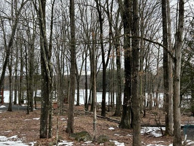 Fawn Lake Forest Lake View Land! What's the next best thing to - photo 3