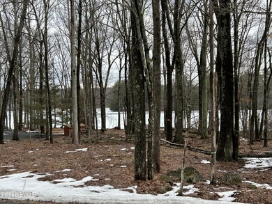 Fawn Lake Forest Lake View Land! What's the next best thing to - photo 4