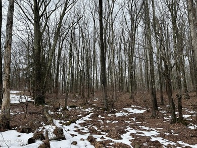 Fawn Lake Forest Lake View Land! What's the next best thing to - photo 5