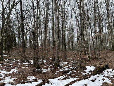 Fawn Lake Forest Lake View Land! What's the next best thing to - photo 6