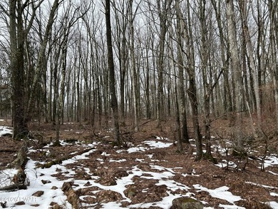 Fawn Lake Forest Lake View Land! What's the next best thing to - photo 7