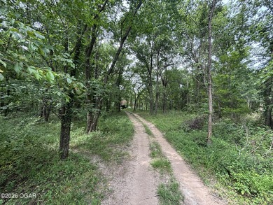 20 Acres at Shoal Creek and Spring River confluence - photo 8