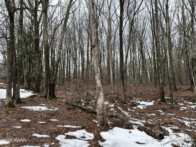 Fawn Lake Forest Lake View Land! What's the next best thing to - photo 8