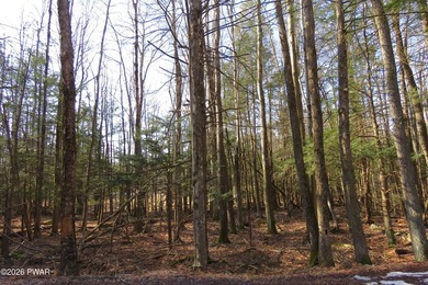 Build your Home the Way You Want It!Rare opportunity to own - photo 3