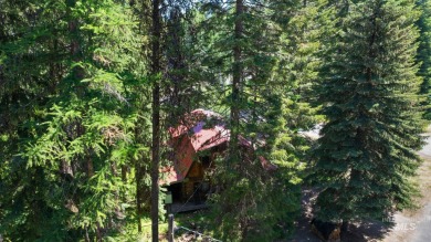 Lake Home For Sale in Mccall, Idaho