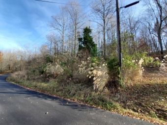 Rough River Lake Lot SOLD! in Leitchfield Kentucky