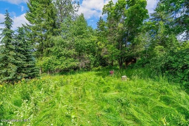 Opportunity awaits in Oldtown! Situated on a generous lot in a - photo 35