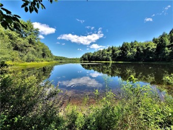Lake Acreage Off Market in Rockland, New York