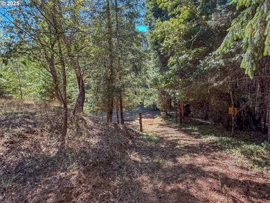 A gated entrance reveals this stunning 24-acre secluded parcel - photo 11