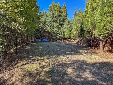 A gated entrance reveals this stunning 24-acre secluded parcel - photo 12